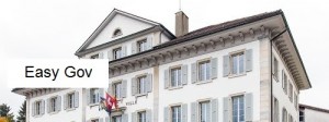 EasyGov
